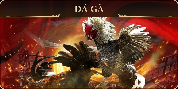 Khám Phá Cách Chơi Đá Gà GA28 Tại 88Bet Chuẩn Xác Nhất